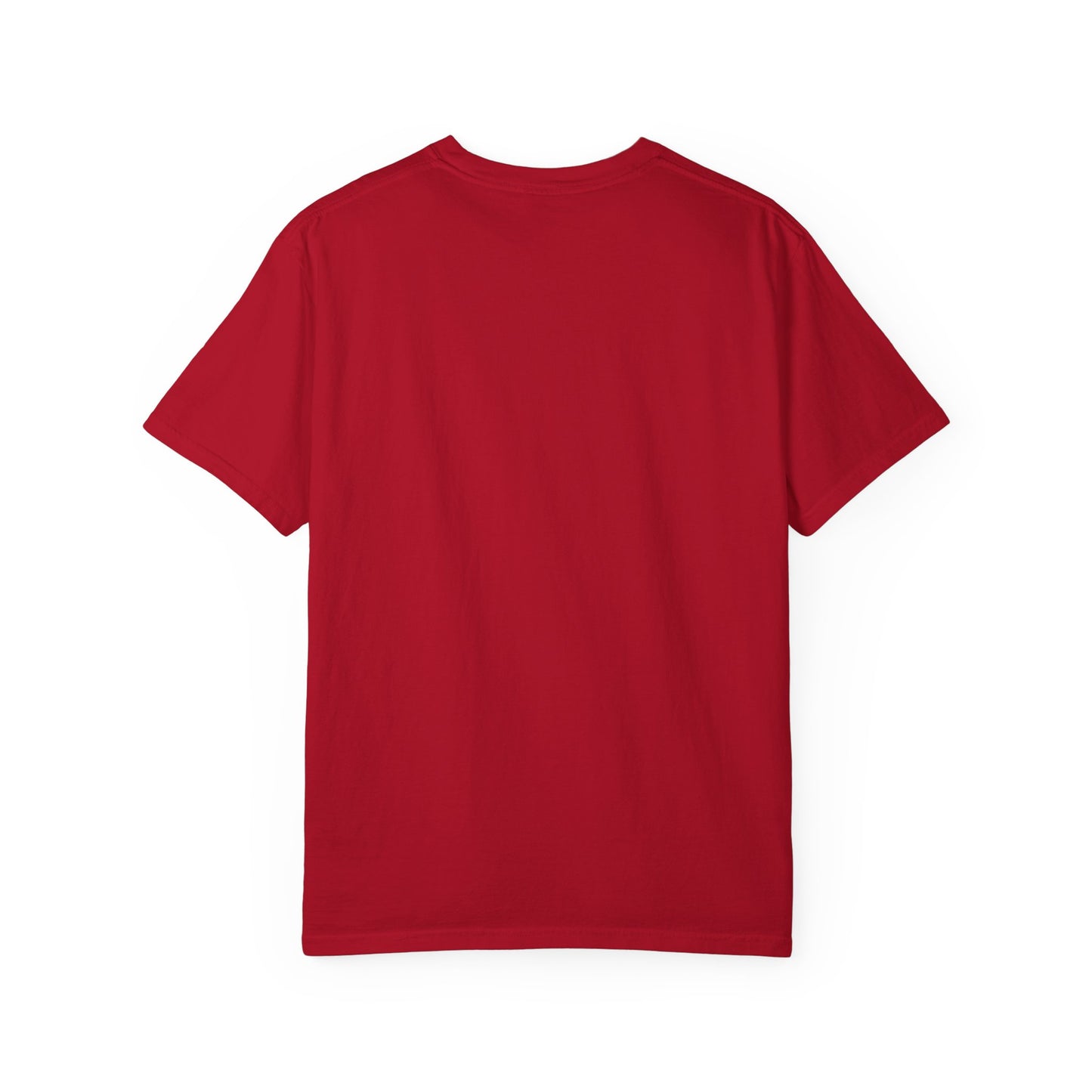 PRAY FOR MY CITY | Unisex Garment-Dyed T-shirt